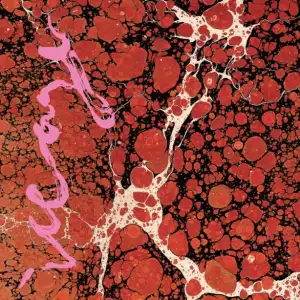 Iceage - Catch It